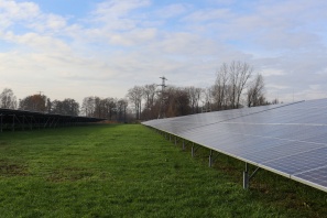 Die Solaranlagen von LHI stehen auf einer grünen Wiese