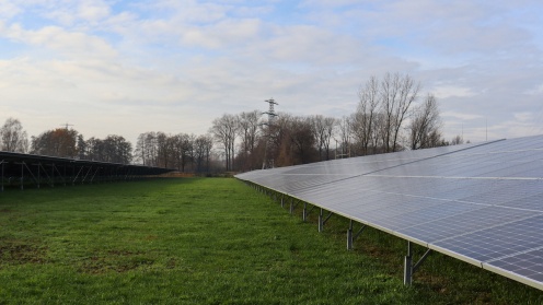 Die Solaranlagen von LHI stehen auf einer grünen Wiese