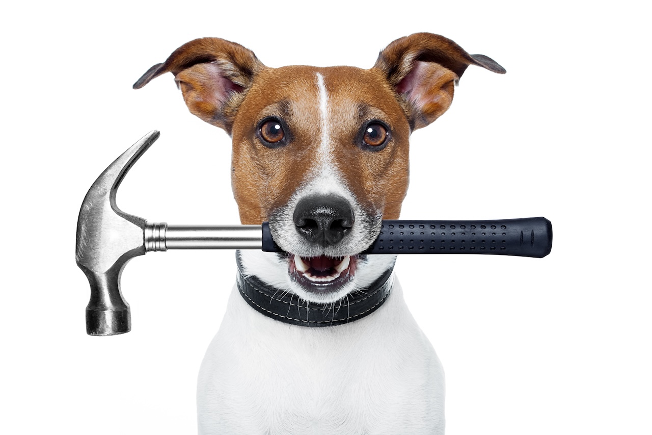 Heimwerker Hund mit Hammer