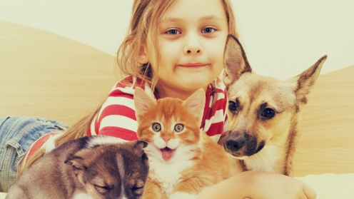 Kind mit Hundewelpen und kleiner Katze
