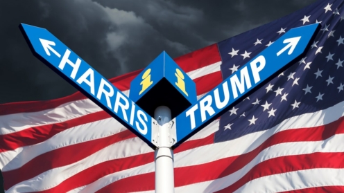 U.S. presidential election. Kamala Harris and Donald Trump
