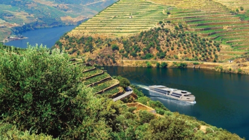 Ein Flusskreuzfahrtschiff fährt auf dem Douro