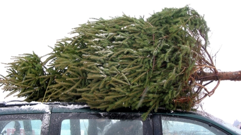 Weihnachtsbaum auf dem Autodach